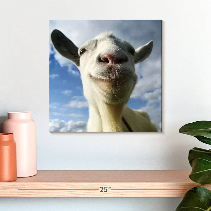 Crowle Nosy Goat, H 16 po x l 16 po