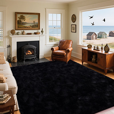 Fluffy Area Rugs for Living Room, Soft Shag Rug for Bedroom, Black Fuzzy Carpet, Non-Slip Indoor Plush Rugs, Modern Home Decor