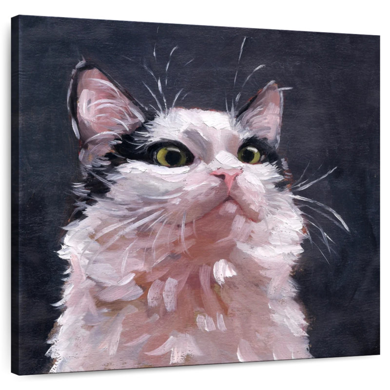 Brampt Kitty, 33" H x 33" W