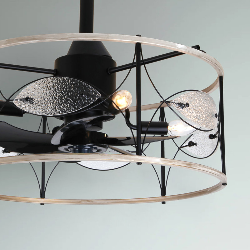 20 Inch Small Caged Ceiling Fan With Light And Remote Control,6 Speed Reversible Bladeless Fan Light Fixture For Farmhouse Kitchen Bedroom, Matte Black