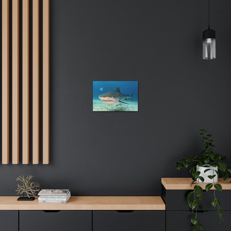 Art mural majestueux requin tigre, H 12 po x l 18 po