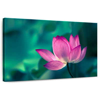 Harnek charmant lotus rose