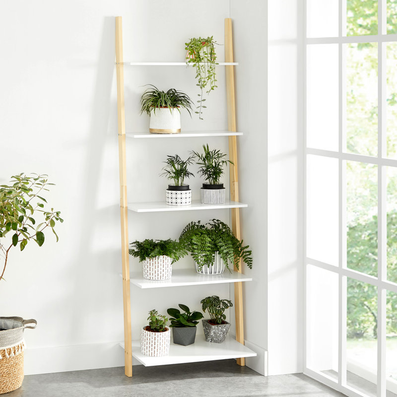 Mallie 96.8cm H x 41cm W Ladder Bookcase