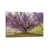 Wrapped Canvas
