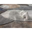 Tapis Caratunk-111229665