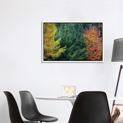 Autumn Colors 1 Piece Wall Art on Canvas