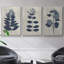 Ensemble de 3 pièces encadrées sur toile, fleurs pressées bleu marine-97709490-97709489