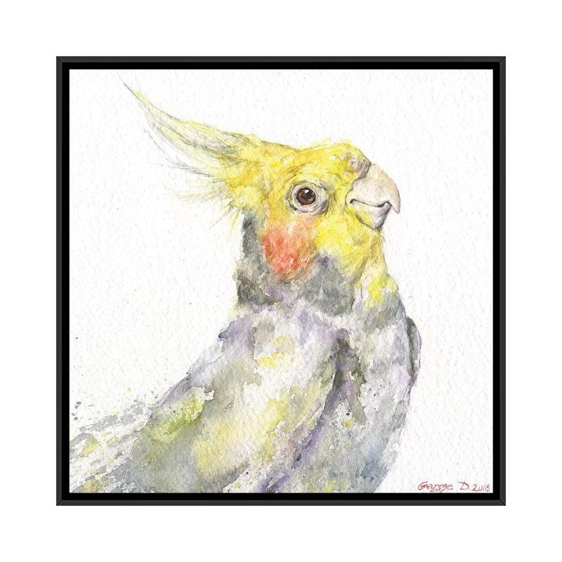 Art sur toile perroquet, Cadre noir, H 26 po x l 26 po x P 1,5 po