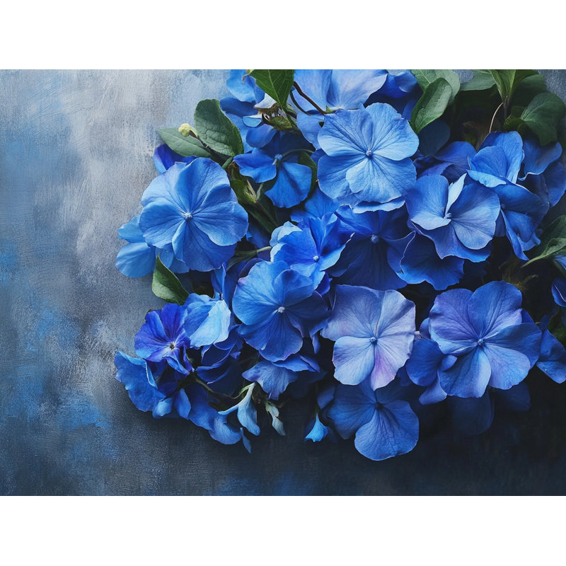 Hydrangea Dreamscape - impression sur toile tendue, H 16 po x l 24 po