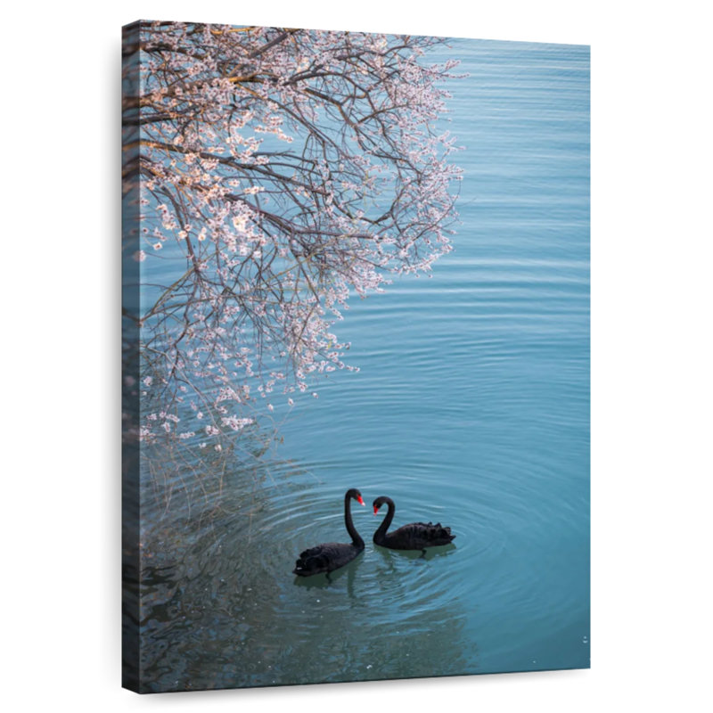 Brampt Black Swans Sakura, 12" H x 8" W