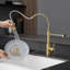 Robinet de cuisine avec douchette extractible en acier inoxydable brossé à poignée simple-125507838