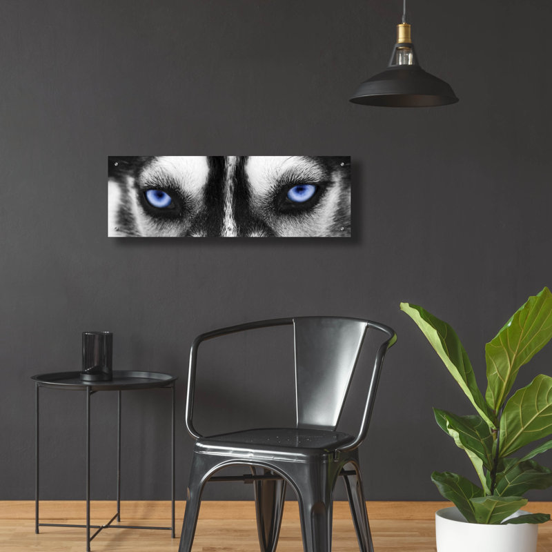 " Husky " by PhotoINC Studio, 12" H x 36" W