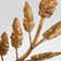 Palm D'Or 2 - Light Candle Wall Light