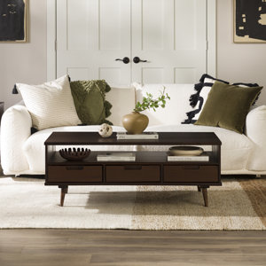 Angielina 4 Legs Coffee Table with Storage