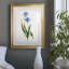 Peinture botanique bleue vive II-789340626-789340629