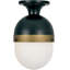 Capsule 1-Light Outdoor Semi Flush Mount