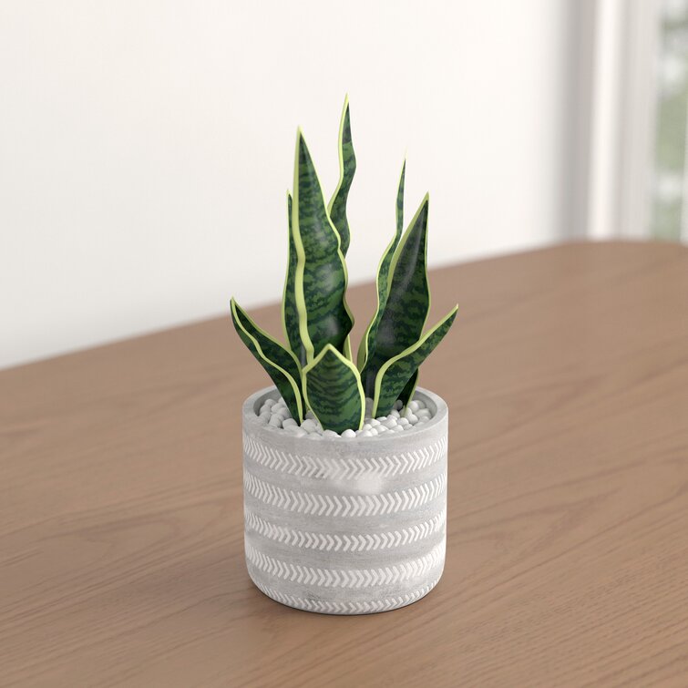 GnFlus Artificial Snake Plant with Ceramic Pot, 16 Inch Faux