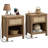 Chada 19.7'' W Nightstand-241572676