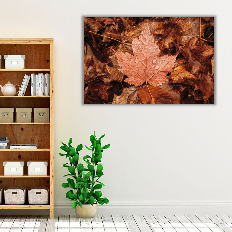 «Fall Rains I», reproduction d'art sur toile, H 20 po x l 30 po