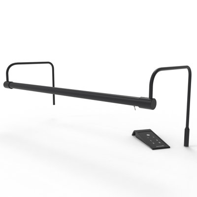 Geetanjali 21 in. Frame Mount Picture Light