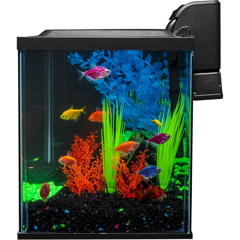 10 Gallon Aquarium Fish Tank Kits, Includes LED Lighting And Décor (Amazon Exclusive)