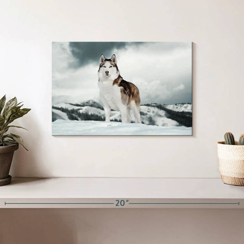 Majestic sibérien Husky, H 8 po x l 12 po