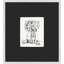 Charcoal Still Life Studies 3 Framed Watercolour Painting Print