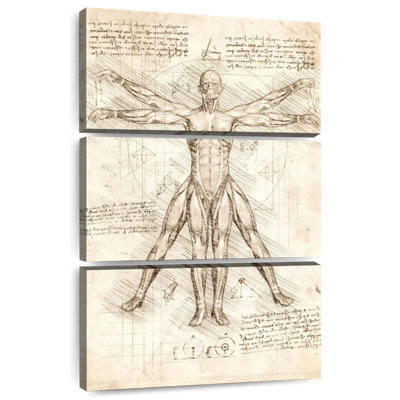 Vitruvian Man
