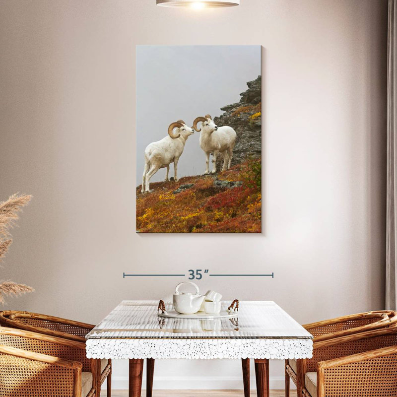 Mouflon blanc, H 45 po x l 30 po