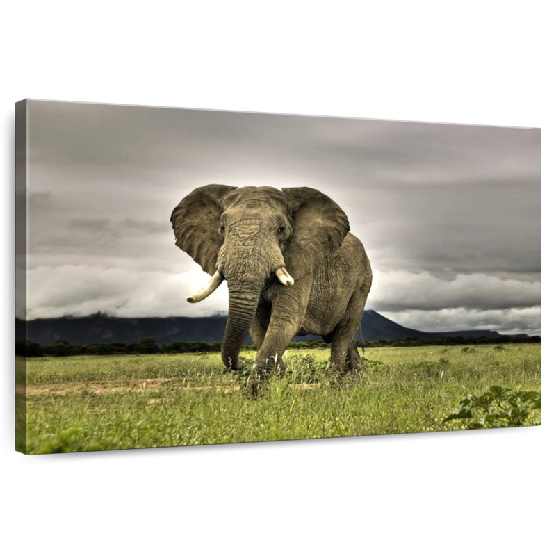 Brampt Elephant Landscape, 24" H x 36" W