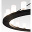 21 - Light Chandelier