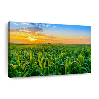 «Green Field Cornfield Sunset Scene», reproduction sur toile