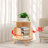 Rotating Bookshelf Display Floor Standing Bookcase Storage Rack