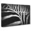 The Stripes of the Zebra - Wrapped Canvas-56639974