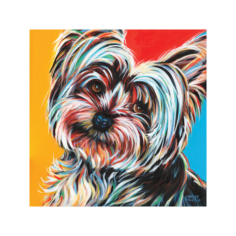 Sweet Yorkie II by Carolee Vitaletti - Wrapped Canvas Painting, 45.72 cm H x 45.72 cm W x 1.91 cm D