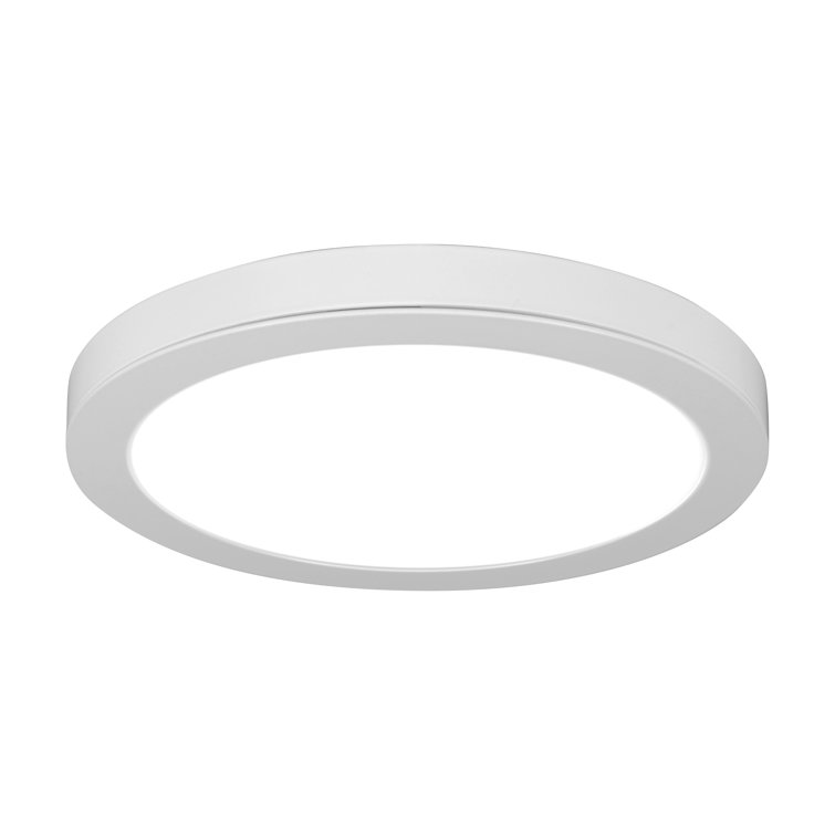 LED Flush Mount