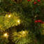 Arbre de Noël vert pin cachemire avec lumières DEL-77494024
