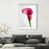 White Shadowbox