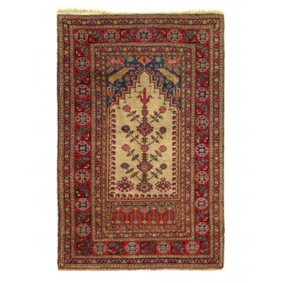 Mekyla Oriental Area Rug in Ivory