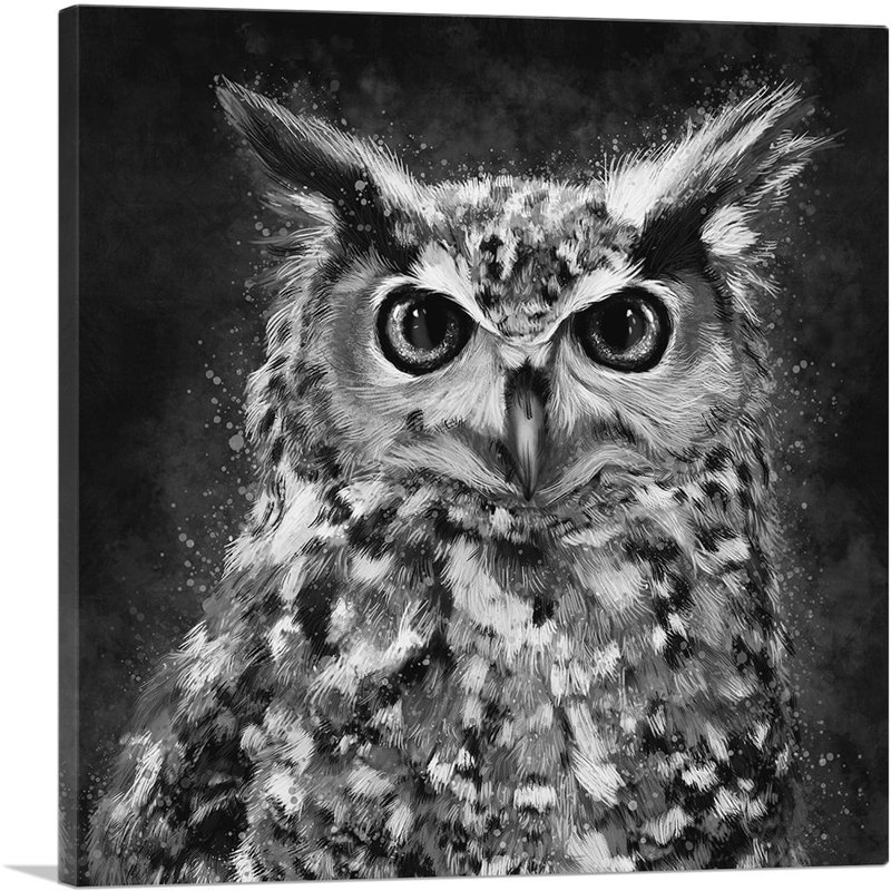 Chouette, oiseau de proie, grange, noir et blanc, impression sur toile tendue, H 26 po x l 26 po x P 0,75 po