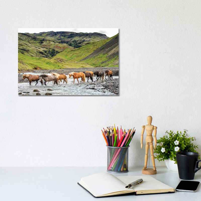 Collection Of Horses II by PHBurchett - Wrapped Canvas Print, 20.32 cm H x 30.48 cm W