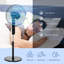 Natale Oscillating Pedestal Fan