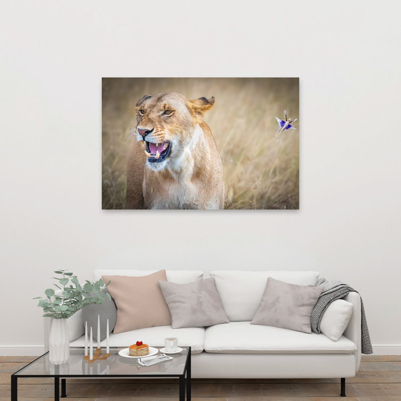 Lioness Meets Flying Insect Contemporary Cat Lion Nature Wildlife Wall Art Print by Jeffrey C. Sink - 1 Piece Wrapped Canvas Wall Art