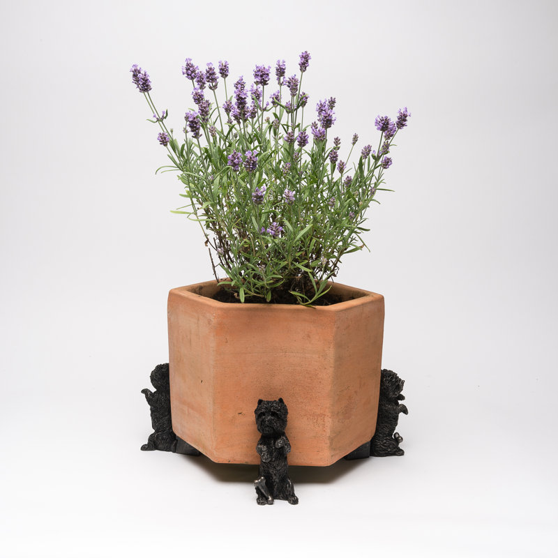 Manon Weather Resistant Planter Feet