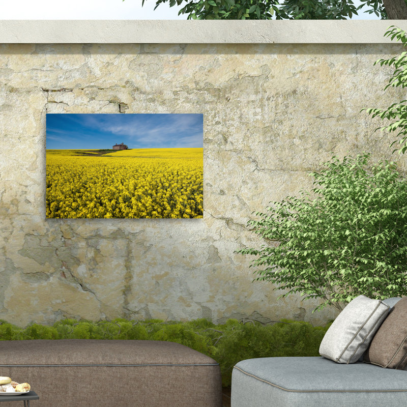 Peter Elgar The Canola Field, H 12 po x l 19 po x P 1,5 po