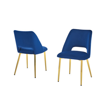 Ivylynn Velvet Upholstered Side Chair by Everly Quinn