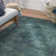 Goodfellow Oriental Turquoise/Blue Area Rug
