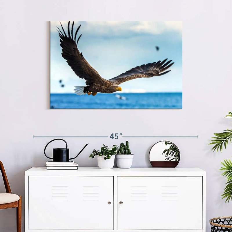 Eagle In Flight, 24" H x 36" W