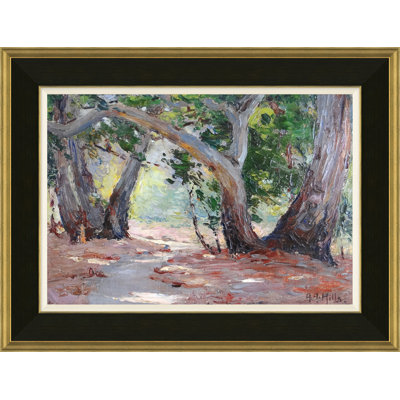 Sycamore Canyon par David Phoenix - Peinture