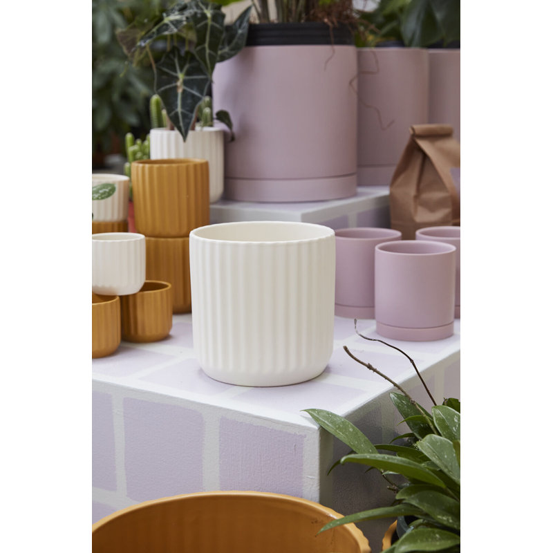 Beam Pot, H 6,75 po x l 7 po x P 7 po, Crème